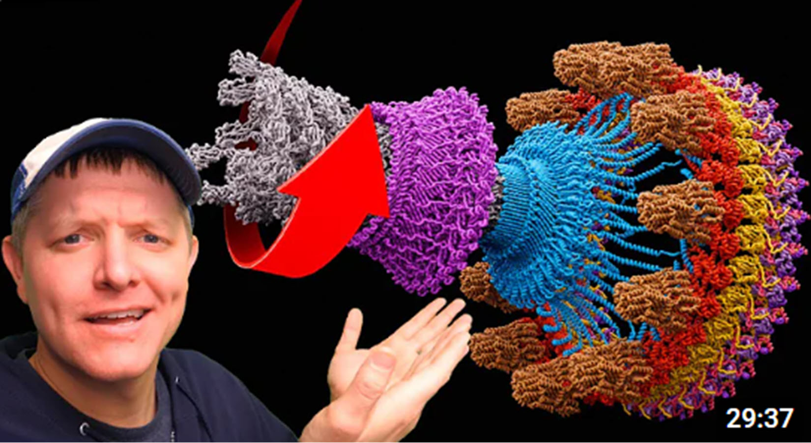 ‘Smarter Every Day’ explores how bacteria move to survive—and make us sick